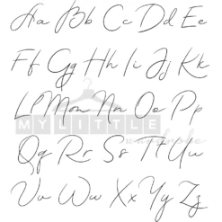 MLW By Design - Black Stonewash Gold Script Personalised Tee - MLW By Design -Wandnobe Store StonewashTeeDesigns f0e02c94 292d 45d1 8238 faf017628874